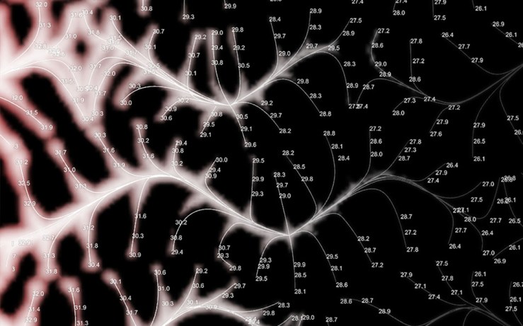 Sentient Concrete_First image size